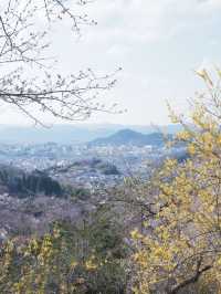 東海道新幹線：大阪去福島只需四小時