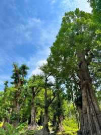 Changthong Heritage Park – Nature, Culture & Serenity Combined