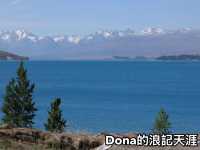 📍紐西蘭南島。普卡基湖｜一窺紐西蘭牛奶湖 🔵