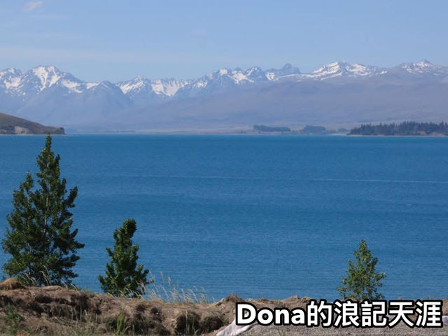 📍紐西蘭南島。普卡基湖｜一窺紐西蘭牛奶湖 🔵