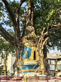 【端午假期】芒市超全3天2晚旅行攻略，慢遊熱帶風情小城 