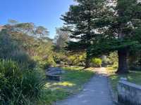 Watsons Bay – Sea Breeze & Seafood Feasts
