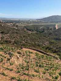 Valle de Guadalupe: Mexico’s Hidden Wine Country Gem