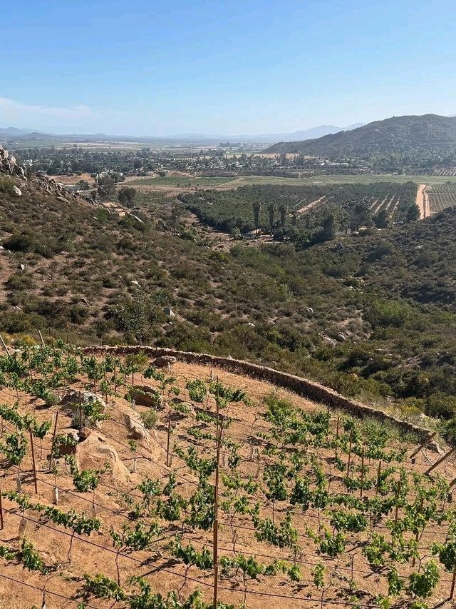 Valle de Guadalupe: Mexico’s Hidden Wine Country Gem