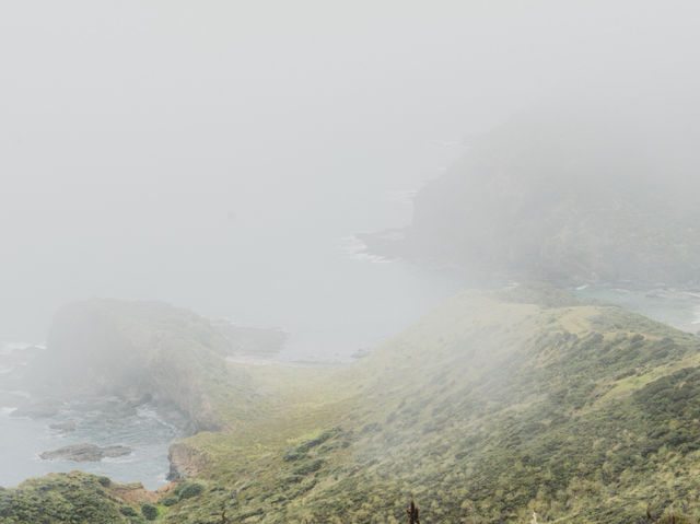 🇳🇿北島Cape Reinga｜走到紐西蘭最北端