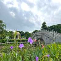 ～綠蔭迷宮～沙步公園端午踏青～