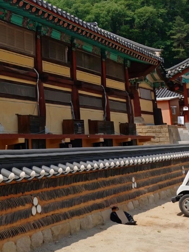 고요함에 기대어