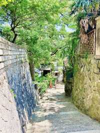 貓之細道
