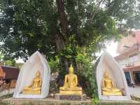 กราบพระหลวงพ่อแขนลาย ที่วัดดังอยุธยา