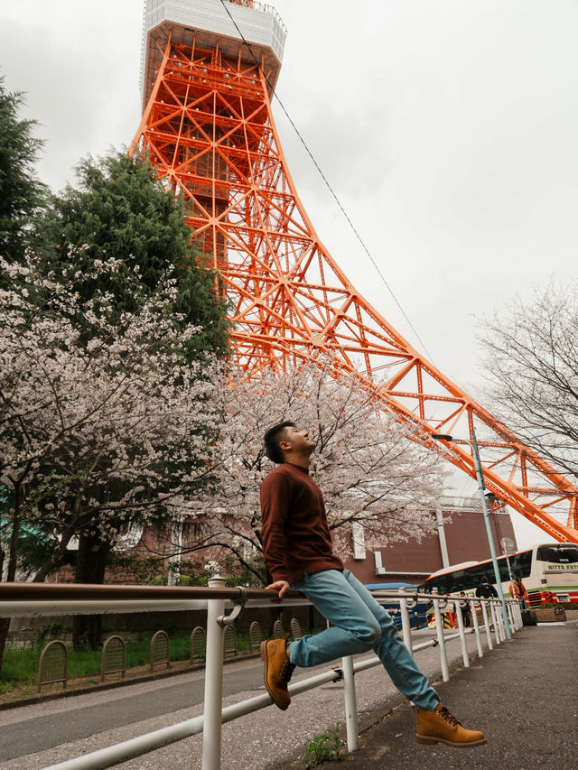 🌸 Tokyo in Full Bloom: My Unforgettable Sakura Season Adventure 🇯🇵