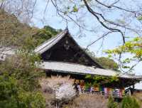 花の御寺 総本山 長谷寺 