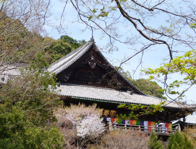 花の御寺 総本山 長谷寺 