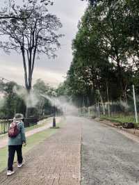 Weekend Plans? Let’s Cycle, Jog, Breakfast & More at Taman Botani Putrajaya!