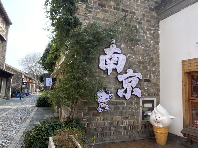 南京 秦淮河風光帶🏮 夫子廟景區