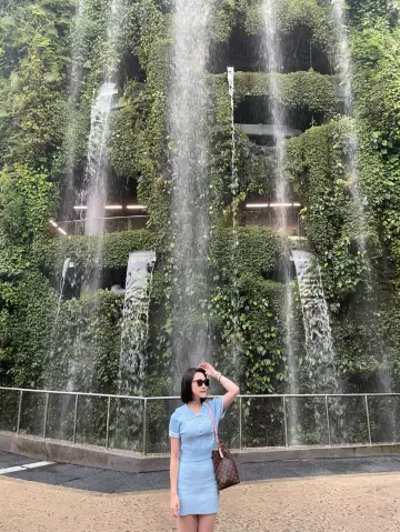 新加坡濱海灣花園帶你穿越「花穹」與「雲霧林」兩大溫室!