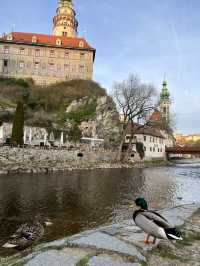 🎨 동화 속 마을, 체스키 크룸로프 (Český Krumlov) – 체코의 작은 프라하