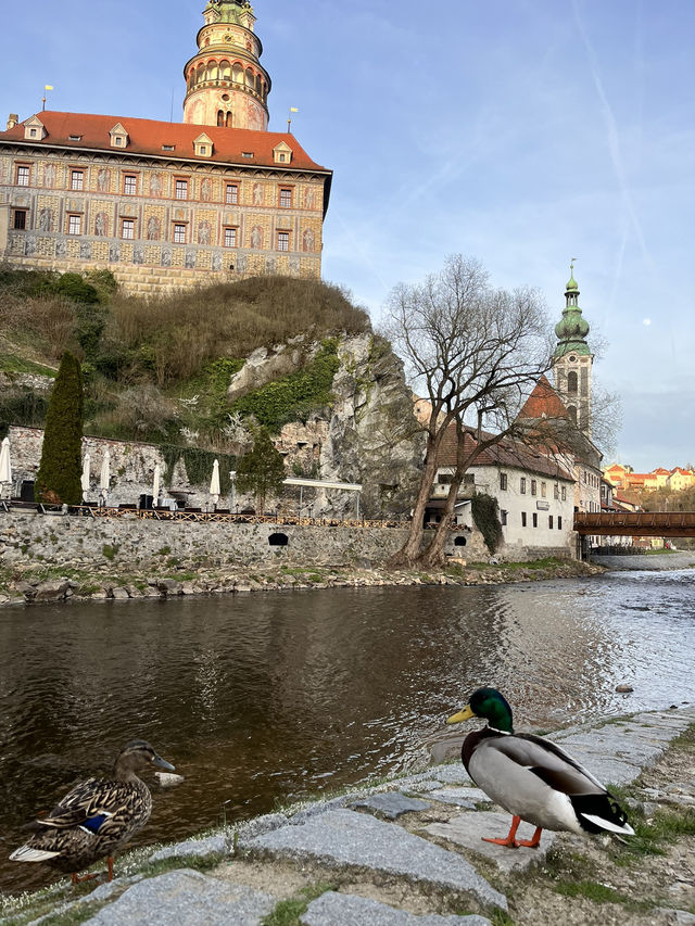 🎨 동화 속 마을, 체스키 크룸로프 (Český Krumlov) – 체코의 작은 프라하
