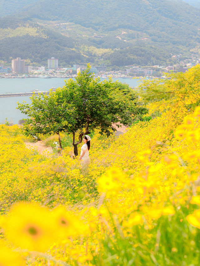 동화 속에 나올것처럼 비현실적이었던 꽃밭💛  