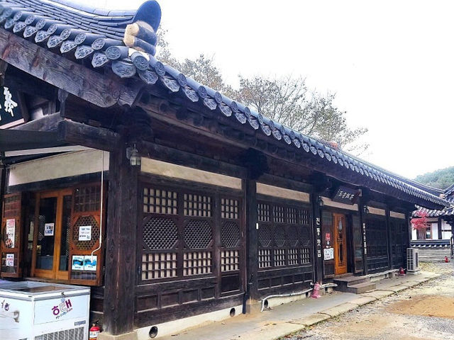 운악산 봉선사와 국화
