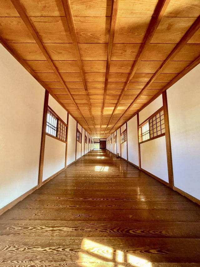 A Day Around Wakayama Castle 🏯📚