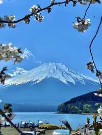 โอซาก้า🇯🇵