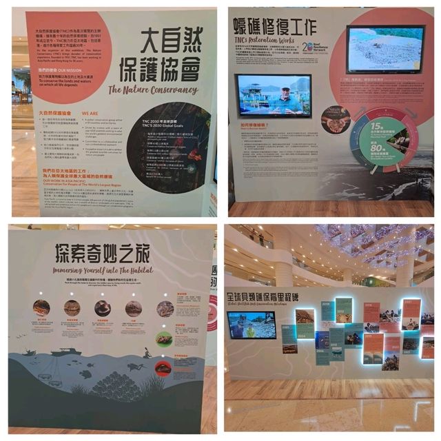 滄海遺礁展覽參觀的個人感受
