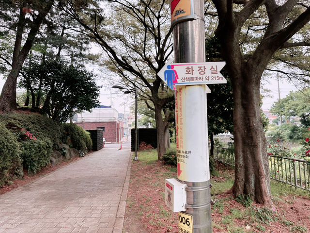 🚶‍♀️🚶‍♂️ ‘청소년의 거리’ 산책