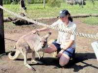 Gold Coast Theme Parks any good now? 