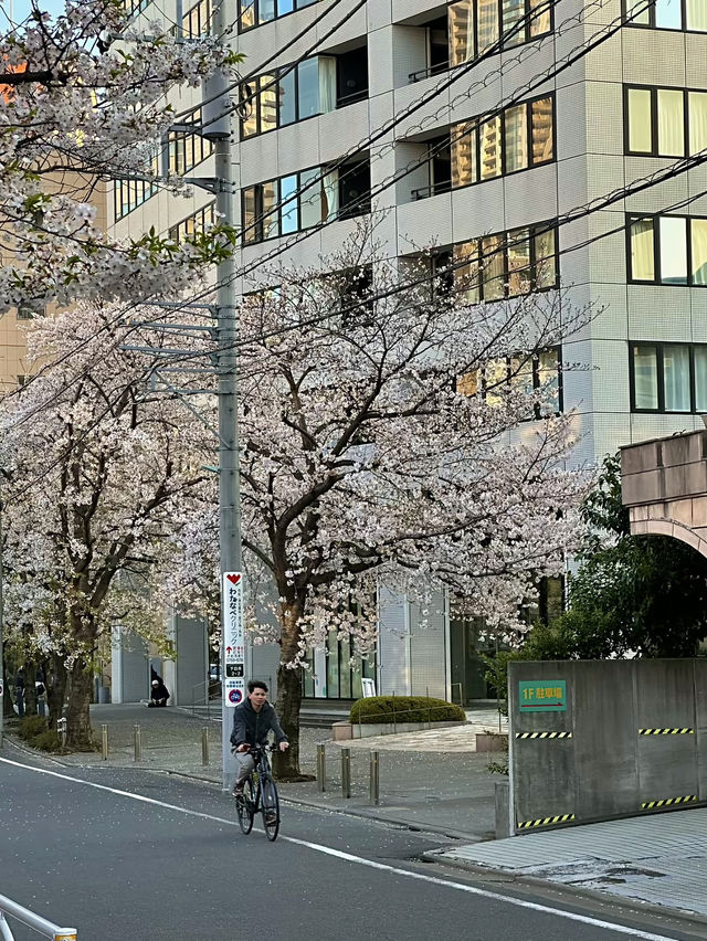 โอซาก้า🇯🇵