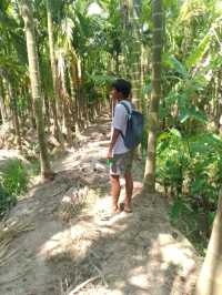 A Trip to a Betel Nut Farm