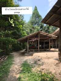 🌿 น้ำตกห้วยหอย – เส้นทางลำบากแต่คุ้มค่าเมื่อไปถึง
