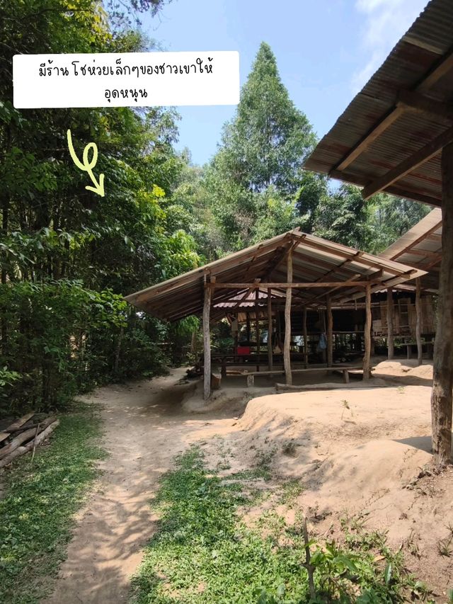 🌿 น้ำตกห้วยหอย – เส้นทางลำบากแต่คุ้มค่าเมื่อไปถึง