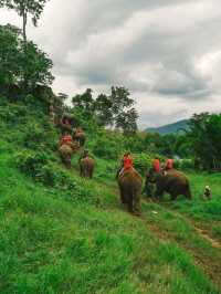 Chiang Mai, Thailand