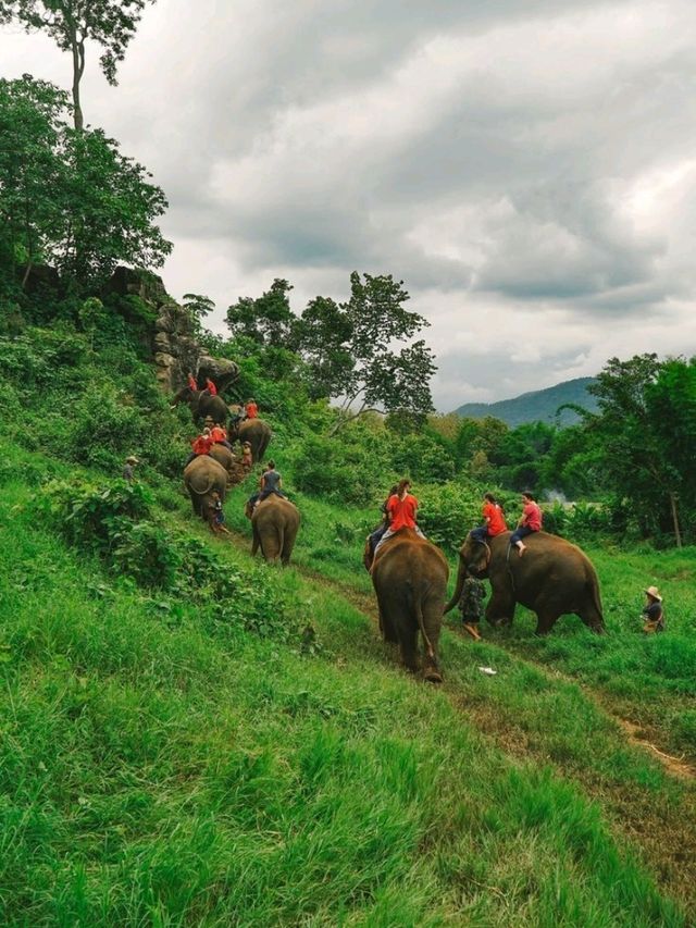 Chiang Mai, Thailand