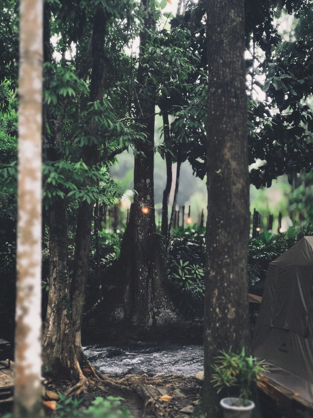 Phuri Camp 🌲🏕️ @hatyai #Thailand