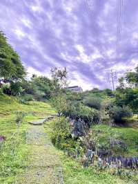 Kebun-Kebun Bangsar: Serene Urban Farm Oasis in the Heart of KL 