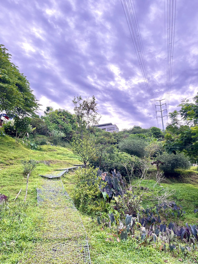 Kebun-Kebun Bangsar: Serene Urban Farm Oasis in the Heart of KL 