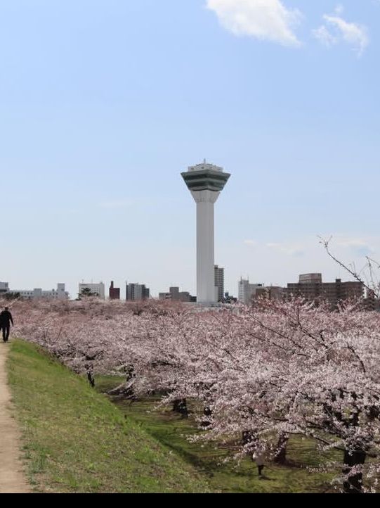 🎯【北海道・五稜郭公園】星型要塞の歴史と桜が彩る、函館の絶景スポット