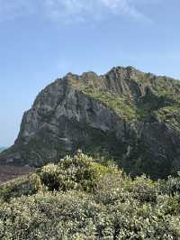 🌄 성산일출봉의 아침, 오설록의 오후