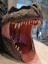 실내 탐험이 즐거운 고성공룡박물관🦖