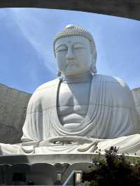 Sapporo … Hill of Buddha & Takino suzuran 