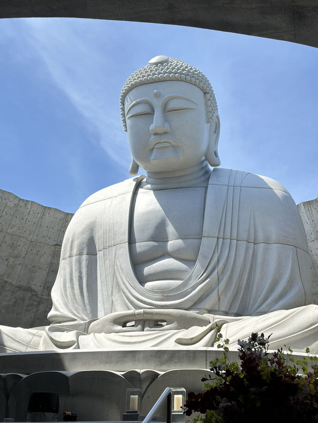 Sapporo … Hill of Buddha & Takino suzuran 