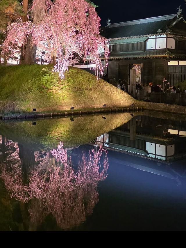 🎯【青森・弘前城】日本一美しい桜とお城のコントラストに感動