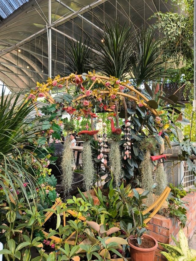 Budget Stroll Among Hanging Gardens and Bonsai