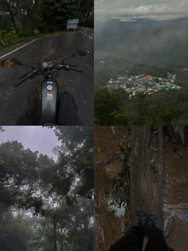 ขับรถเที่ยวดอยปุย จ.เชียงใหม่ ⛰️🌧️🌳🏍️