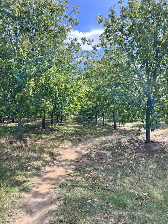  📍 National Arboretum Canberra｜綠意與建築的共鳴樂章