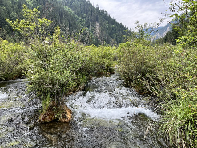  🌈 Jiuzhaigou Must-Visit Tips – Nature, Waterfalls & What to Skip