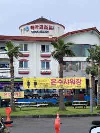 제주도 스노쿨링 명소 판포포구 🐠💙