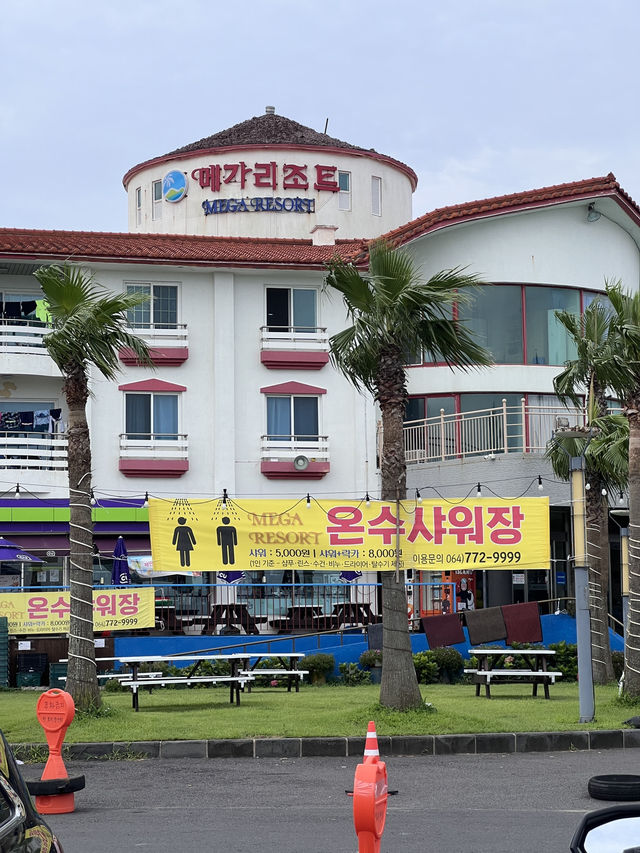 제주도 스노쿨링 명소 판포포구 🐠💙