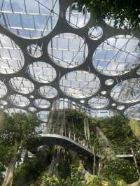 Shanghai Greenhouse Garden🌴